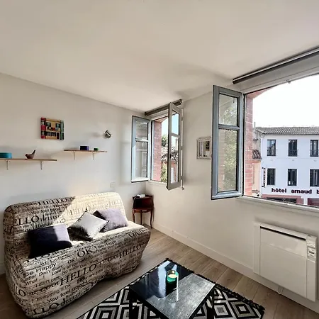 Climatise Hyper-centre - 300m Basilique Saint Sernin *