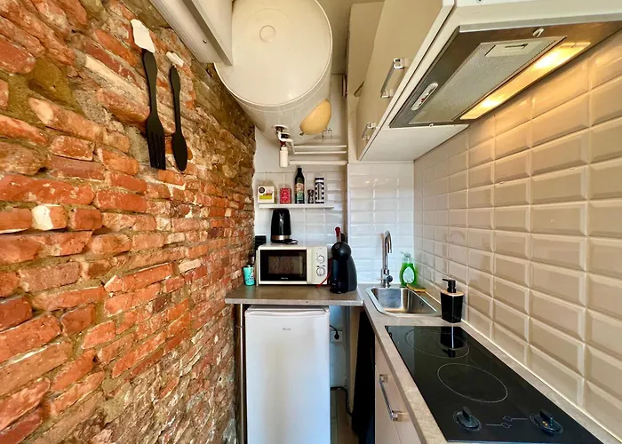 Climatise Hyper-centre - 300m Basilique Saint Sernin Διαμέρισμα Τουλούζη