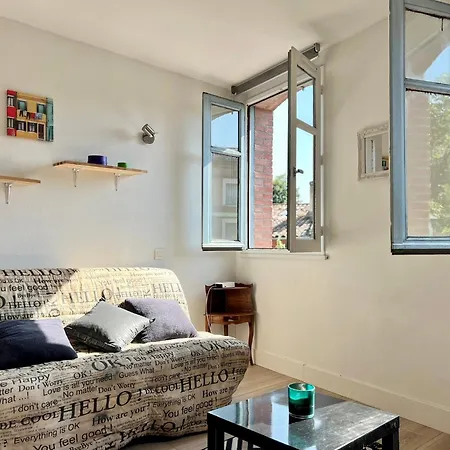 Climatise Hyper-centre - 300m Basilique Saint Sernin 툴루즈