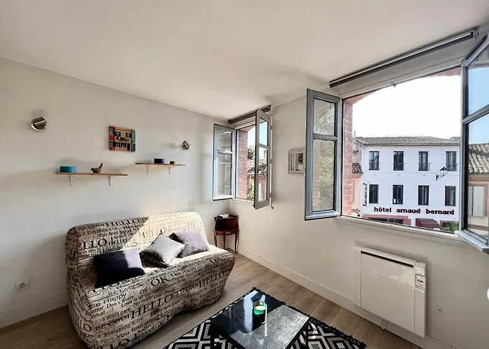 Climatise Hyper-centre - 300m Basilique Saint Sernin *