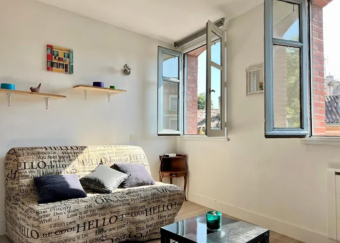 Climatise Hyper-centre - 300m Basilique Saint Sernin 툴루즈