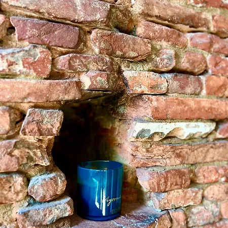 公寓 Climatise Hyper-centre - 300m Basilique Saint Sernin *